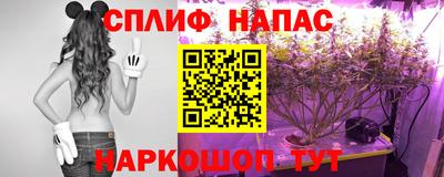 трава Славянск-на-Кубани