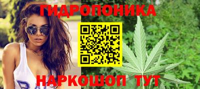 ECSTASY Славгород