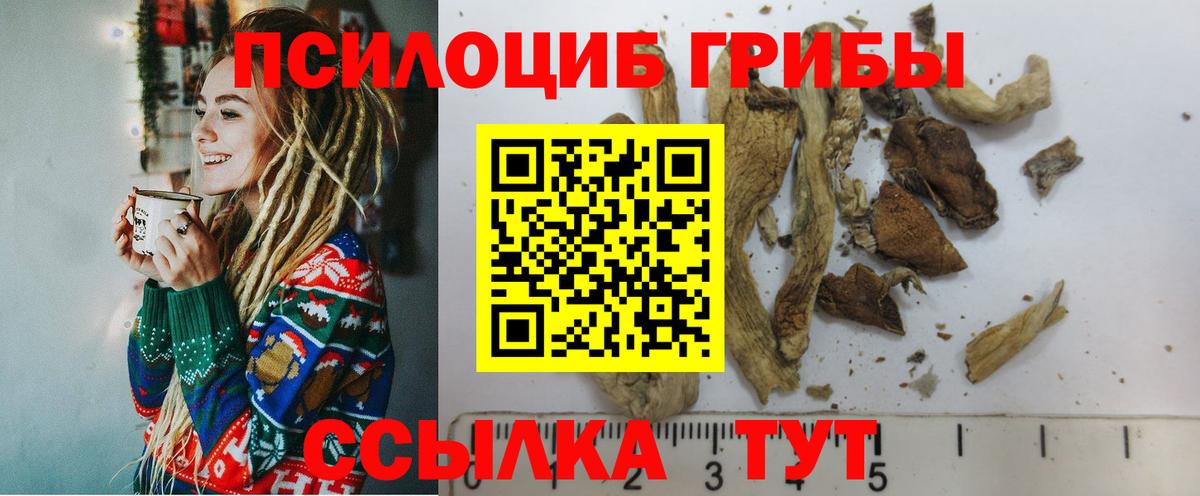 Светлоград  Псилоцибиновые грибы Psilocybe  купить наркоту  Вход с VPN 